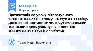 Презентація до уроку літературного  читання в 3 класі на тему:  «Вступ до розділу. Дивовижні картини зими. В.Сухомлинський «Сонячний день узимку».  Л.Костенко «Синички на снігу» (напам’ять)»