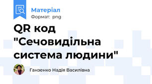 QR код "Сечовидільна система людини"