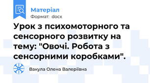 Урок з психомоторного та сенсорного розвитку на тему: "Овочі. Робота з сенсорними коробками".