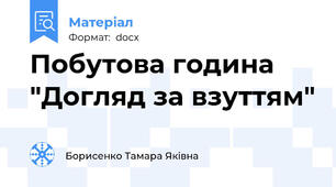 Побутова година "Догляд за взуттям"