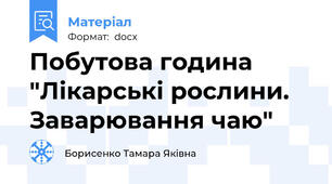 Побутова година "Лікарські рослини. Заварювання чаю"