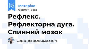 Рефлекс. Рефлекторна дуга. Спинний мозок
