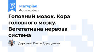 Головний мозок. Кора головного мозку. Вегетативна нервова система