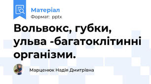 Вольвокс, губки, ульва -багатоклітинні організми.