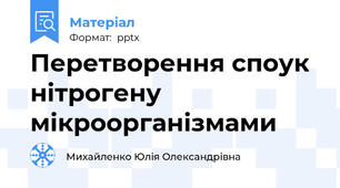 Перетворення споук нітрогену мікроорганізмами
