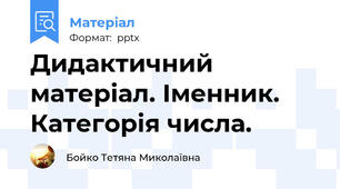 Дидактичний матеріал. Іменник. Категорія числа.