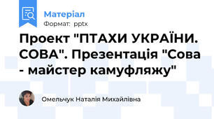 Проект "ПТАХИ УКРАЇНИ. СОВА". Презентація "Сова - майстер камуфляжу"