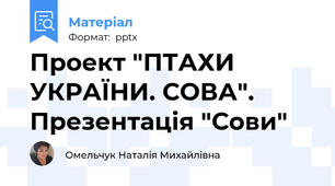 Проект "ПТАХИ УКРАЇНИ. СОВА". Презентація "Сови"