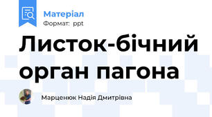 Листок-бічний орган пагона