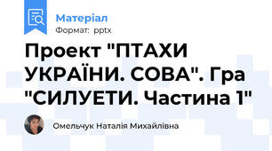 Проект "ПТАХИ УКРАЇНИ. СОВА". Гра "СИЛУЕТИ. Частина 1"