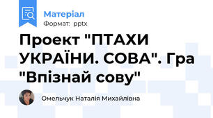 Проект "ПТАХИ УКРАЇНИ. СОВА". Гра "Впізнай сову"
