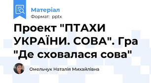 Проект "ПТАХИ УКРАЇНИ. СОВА". Гра "Де сховалася сова"