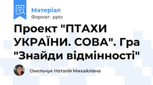 Проект "ПТАХИ УКРАЇНИ. СОВА". Гра "Знайди відмінності"