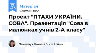Проект "ПТАХИ УКРАЇНИ. СОВА". Презентація "Сова в малюнках учнів 2-А класу"