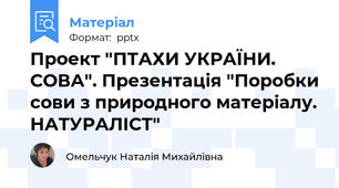 Проект "ПТАХИ УКРАЇНИ. СОВА". Презентація "Поробки сови з природного матеріалу. НАТУРАЛІСТ"
