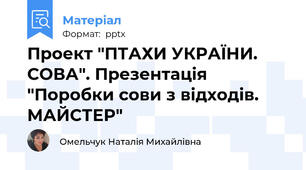 Проект "ПТАХИ УКРАЇНИ. СОВА". Презентація "Поробки сови з відходів. МАЙСТЕР"