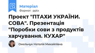Проект "ПТАХИ УКРАЇНИ. СОВА". Презентація "Поробки сови з продуктів харчування. КУХАР"