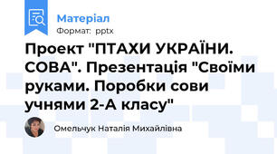 Проект "ПТАХИ УКРАЇНИ. СОВА". Презентація "Своїми руками. Поробки сови учнями 2-А класу"