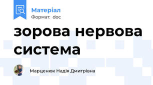зорова нервова система
