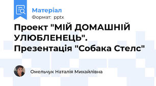 Проект "МІЙ ДОМАШНІЙ УЛЮБЛЕНЕЦЬ". Презентація "Собака Стелс"