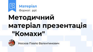 Методичний матеріал презентація   "Комахи"