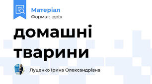 домашні тварини