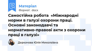 Самостійна робота  «Міжнародні норми в галузі охорони праці. Основні законодавчі та нормативно-правові акти з охорони праці в галузі»