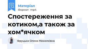 Спостереження за котиком,а також за хом*ячком