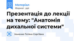 Презентація до лекції на тему: "Анатомія дихальної системи"