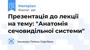 Презентація до лекції на тему: "Анатомія сечовидільної системи"