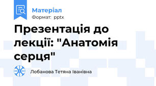 Презентація до лекції: "Анатомія серця"