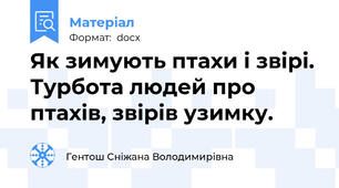 Як зимують птахи і звірі. Турбота людей про птахів, звірів узимку.