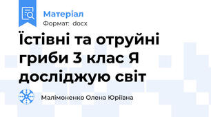 Їстівні та отруйні гриби 3 клас Я досліджую світ
