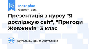 Презентація з курсу "Я досліджую світ", "Пригоди Жевжиків" 3 клас