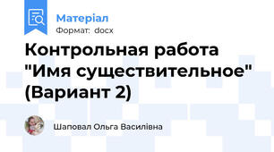 Контрольная работа "Имя существительное" (Вариант 2)