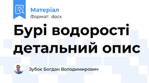 Бурі водорості детальний опис