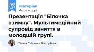 Презентація "Білочка взимку". Мультимедійний супровід заняття в молодшій групі.