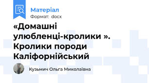 «Домашні улюбленці-кролики ».  Кролики породи Каліфорнійський