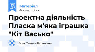 Проектна діяльність Пласка м'яка іграшка "Кіт Васько"