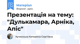 Презентація на тему: "Дулькамара, Арніка, Апіс"