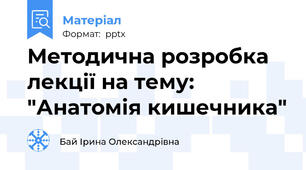 Методична розробка лекції на тему: "Анатомія кишечника"