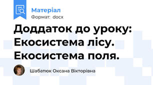Доддаток до уроку: Екосистема лісу. Екосистема поля.