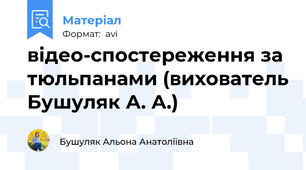 відео-спостереження за тюльпанами (вихователь Бушуляк А. А.)