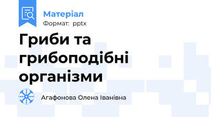 Гриби та грибоподібні організми