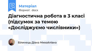 Діагностична робота в 3 класі (підсумок за темою «Досліджуємо числівники»)