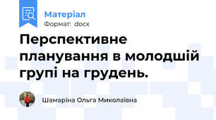 Перспективне планування в молодшій групі на грудень.