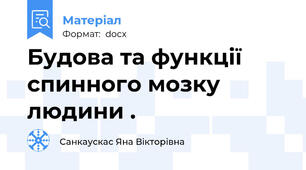 Будова та функції спинного мозку людини .