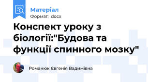 Конспект уроку з біології:"Будова та функції спинного мозку"