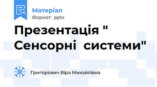 Презентація " Сенсорні  системи"