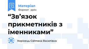“Зв’язок прикметників з іменниками”